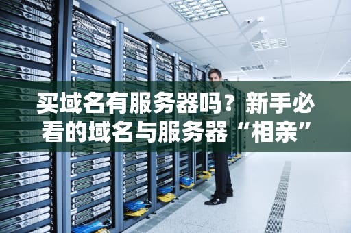 买域名有服务器吗？新手必看的域名与服务器“相亲”指南！