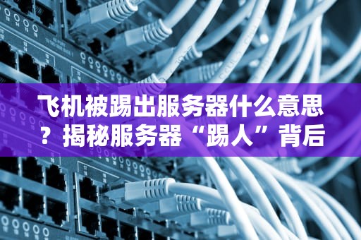 飞机被踢出服务器什么意思？揭秘服务器“踢人”背后的技术玄机！