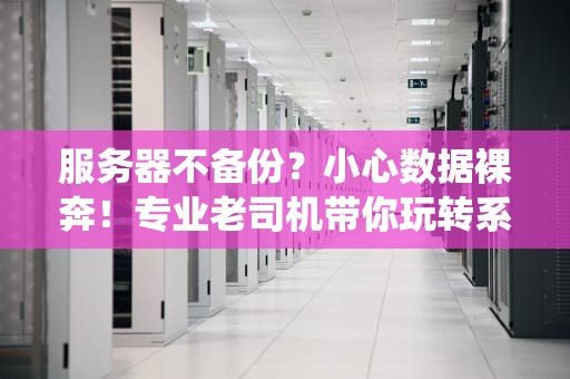 服务器不备份？小心数据裸奔！专业老司机带你玩转系统备份