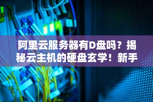 阿里云服务器有D盘吗？揭秘云主机的硬盘玄学！新手必看防坑指南