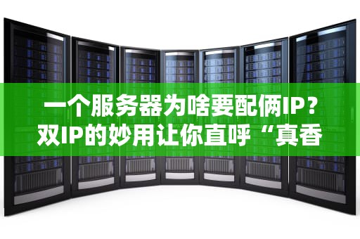 一个服务器为啥要配俩IP？双IP的妙用让你直呼“真香”！