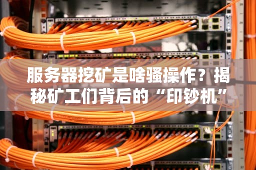 服务器挖矿是啥骚操作？揭秘矿工们背后的“印钞机”真相！