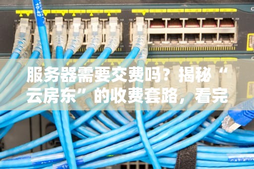 服务器需要交费吗？揭秘“云房东”的收费套路，看完笑出腹肌！