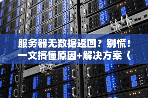 服务器无数据返回？别慌！一文搞懂原因+解决方案（附真实案例）