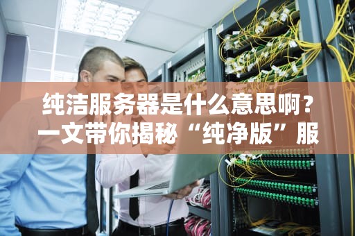纯洁服务器是什么意思啊？一文带你揭秘“纯净版”服务器的秘密！