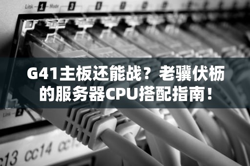 G41主板还能战？老骥伏枥的服务器CPU搭配指南！