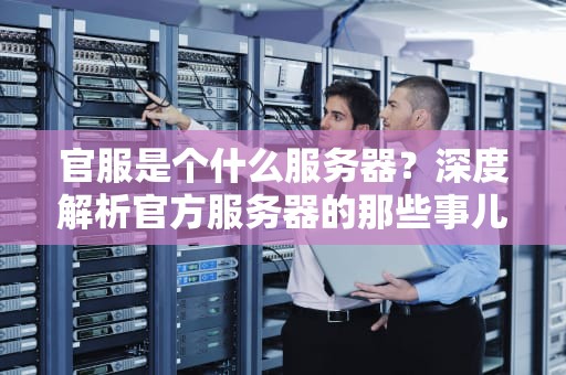 官服是个什么服务器？深度解析官方服务器的那些事儿！