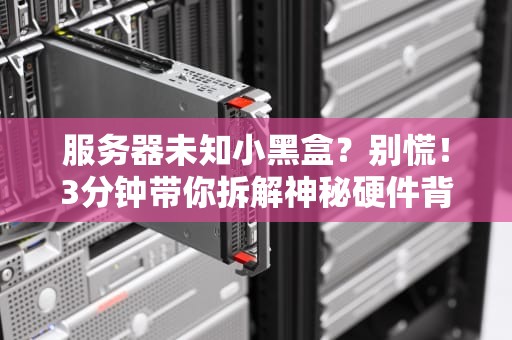 服务器未知小黑盒？别慌！3分钟带你拆解神秘硬件背后的真相