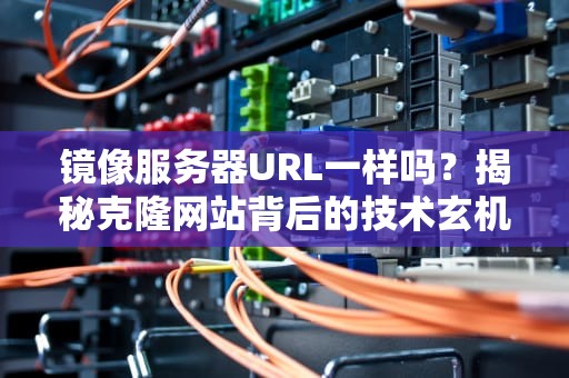 镜像服务器URL一样吗？揭秘克隆网站背后的技术玄机
