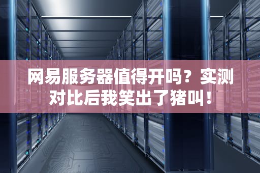 网易服务器值得开吗？实测对比后我笑出了猪叫！