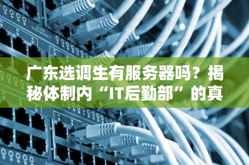 广东选调生有服务器吗？揭秘体制内“IT后勤部”的真相！