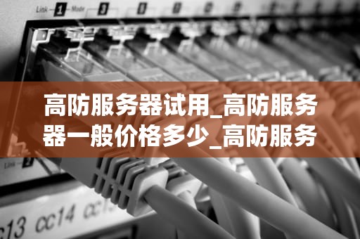 高防服务器试用_高防服务器一般价格多少_高防服务器试用：一次全面的体验