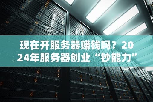 现在开服务器赚钱吗？2024年服务器创业“钞能力”真相大揭秘！