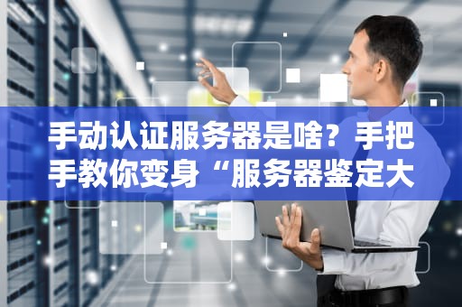 手动认证服务器是啥？手把手教你变身“服务器鉴定大师”！