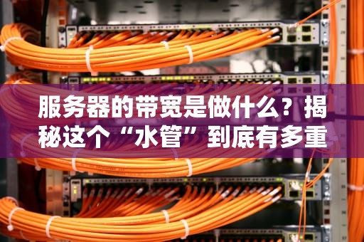服务器的带宽是做什么？揭秘这个“水管”到底有多重要！