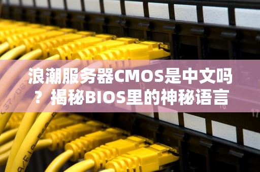 浪潮服务器CMOS是中文吗？揭秘BIOS里的神秘语言！