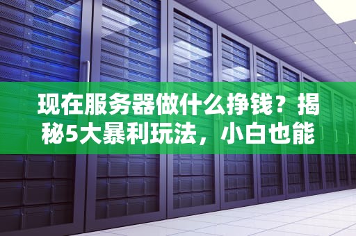 现在服务器做什么挣钱？揭秘5大暴利玩法，小白也能月入过万！