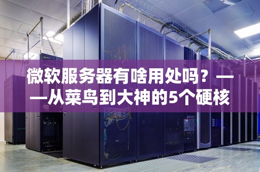 微软服务器有啥用处吗？——从菜鸟到大神的5个硬核应用场景