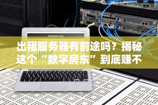 出租服务器有前途吗？揭秘这个“数字房东”到底赚不亏！