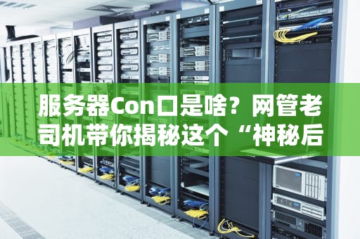 服务器Con口是啥？网管老司机带你揭秘这个“神秘后门”！