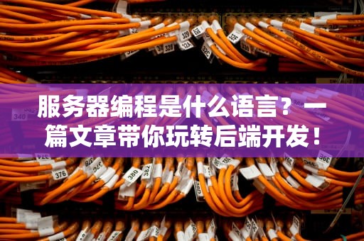 服务器编程是什么语言？一篇文章带你玩转后端开发！