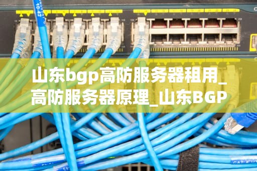 山东bgp高防服务器租用_高防服务器原理_山东BGP高防服务器租用的优势与选择