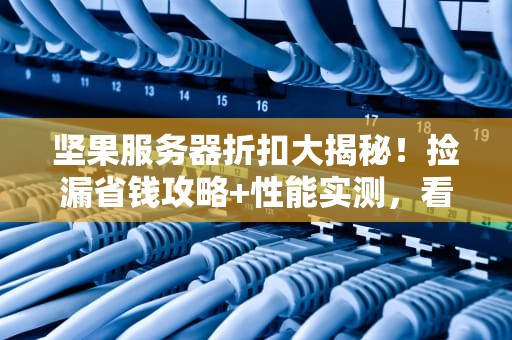 坚果服务器折扣大揭秘！捡漏省钱攻略+性能实测，看完秒变老司机