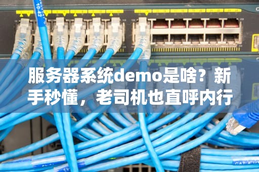 服务器系统demo是啥？新手秒懂，老司机也直呼内行！