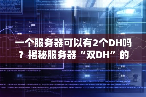 一个服务器可以有2个DH吗？揭秘服务器“双DH”的骚操作与硬核真相！