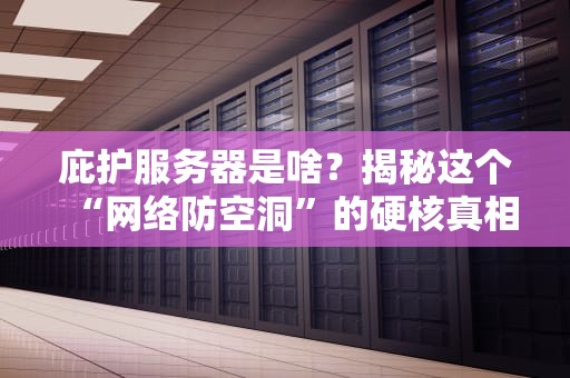 庇护服务器是啥？揭秘这个“网络防空洞”的硬核真相！