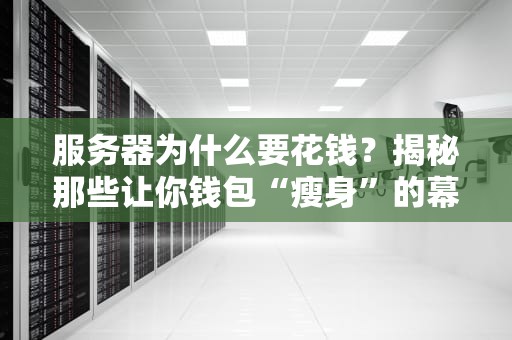 服务器为什么要花钱？揭秘那些让你钱包“瘦身”的幕后黑手！