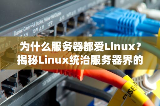 为什么服务器都爱Linux？揭秘Linux统治服务器界的5大真相！