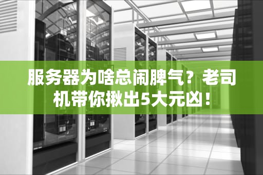 服务器为啥总闹脾气？老司机带你揪出5大元凶！