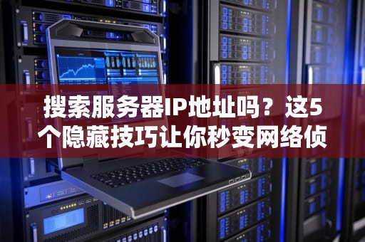 搜索服务器IP地址吗？这5个隐藏技巧让你秒变网络侦探！