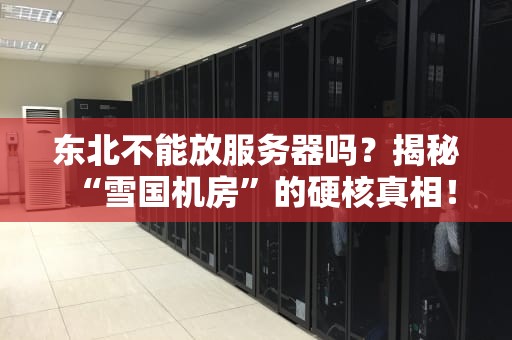 东北不能放服务器吗？揭秘“雪国机房”的硬核真相！
