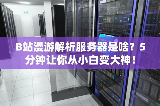 B站漫游解析服务器是啥？5分钟让你从小白变大神！