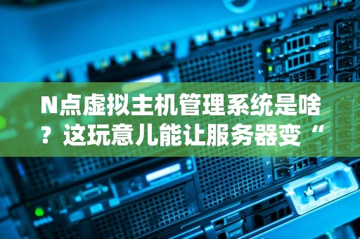 N点虚拟主机管理系统是啥？这玩意儿能让服务器变“变形金刚”吗？