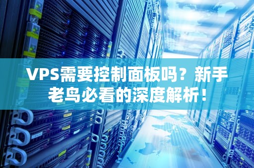 VPS需要控制面板吗？新手老鸟必看的深度解析！
