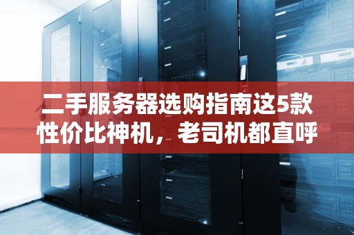 二手服务器选购指南这5款性价比神机，老司机都直呼内行！
