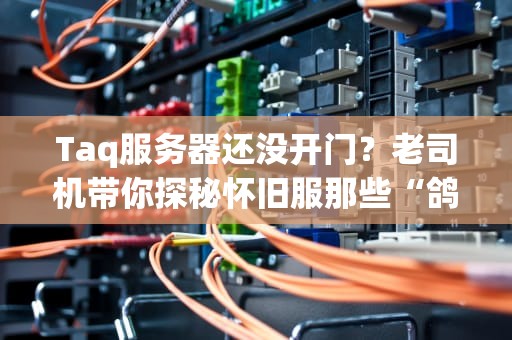 Taq服务器还没开门？老司机带你探秘怀旧服那些“鸽王”服务器！