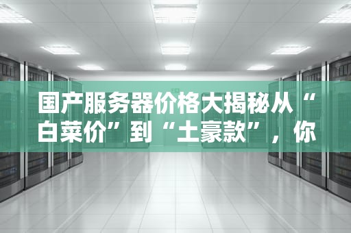 国产服务器价格大揭秘从“白菜价”到“土豪款”，你该选哪一款？