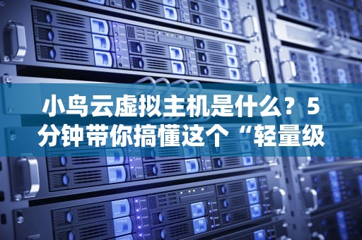 小鸟云虚拟主机是什么？5分钟带你搞懂这个“轻量级选手”的优缺点！