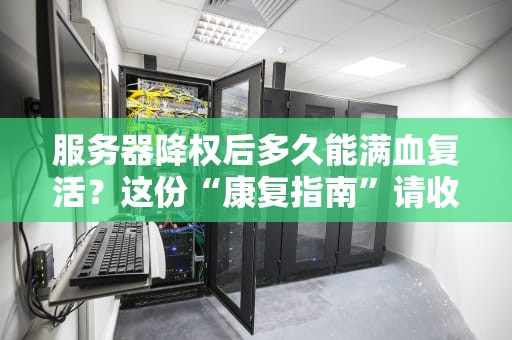 服务器降权后多久能满血复活？这份“康复指南”请收好！