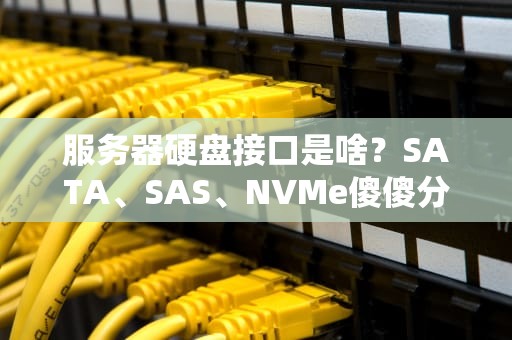服务器硬盘接口是啥？SATA、SAS、NVMe傻傻分不清？看完这篇秒变老司机！