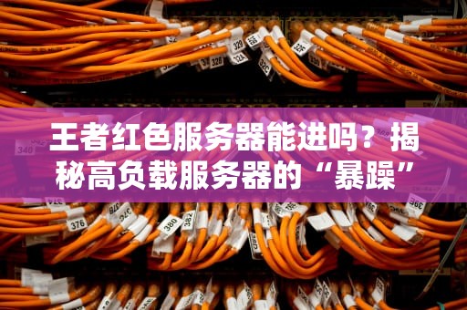 王者红色服务器能进吗？揭秘高负载服务器的“暴躁”日常！