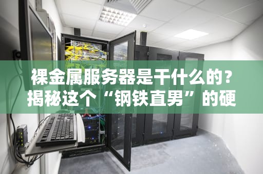 裸金属服务器是干什么的？揭秘这个“钢铁直男”的硬核实力！