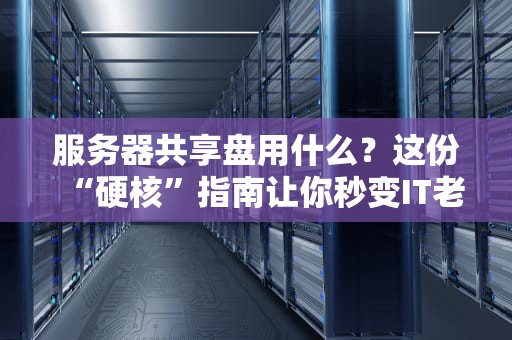服务器共享盘用什么？这份“硬核”指南让你秒变IT老司机！