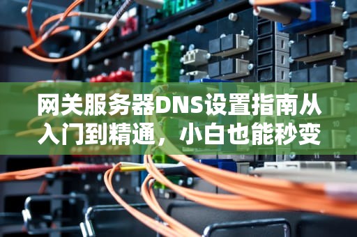 网关服务器DNS设置指南从入门到精通，小白也能秒变大神！