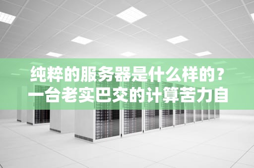 纯粹的服务器是什么样的？一台老实巴交的计算苦力自白书