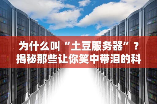 为什么叫“土豆服务器”？揭秘那些让你笑中带泪的科技梗！